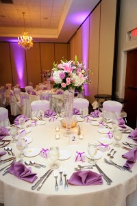 Dream Wedding and Party 1092796 Image 1